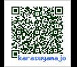 QR������